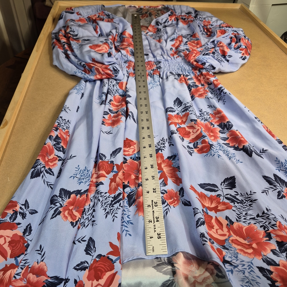 Parker Light Blue and Red Floral Silk Maxi Dress - Picture 4 of 11